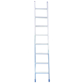 Industrial Single Ladder